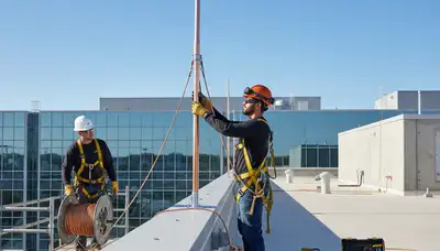 Lightning protection system for trees in Allentown, PA by Tree Service Allentown PA