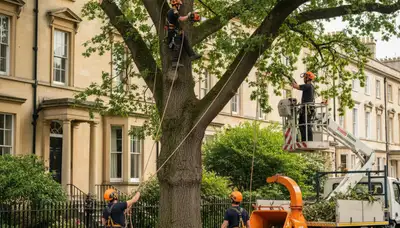 Allentown, PA tree service crew removing a tree safely for residential property maintenance
