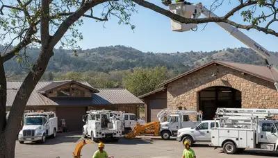 Tree service crew in Allentown, PA providing professional tree trimming and removal services